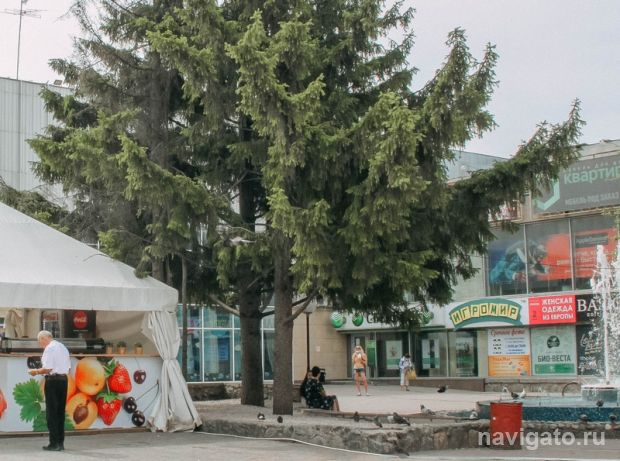 В чём корень проблемы