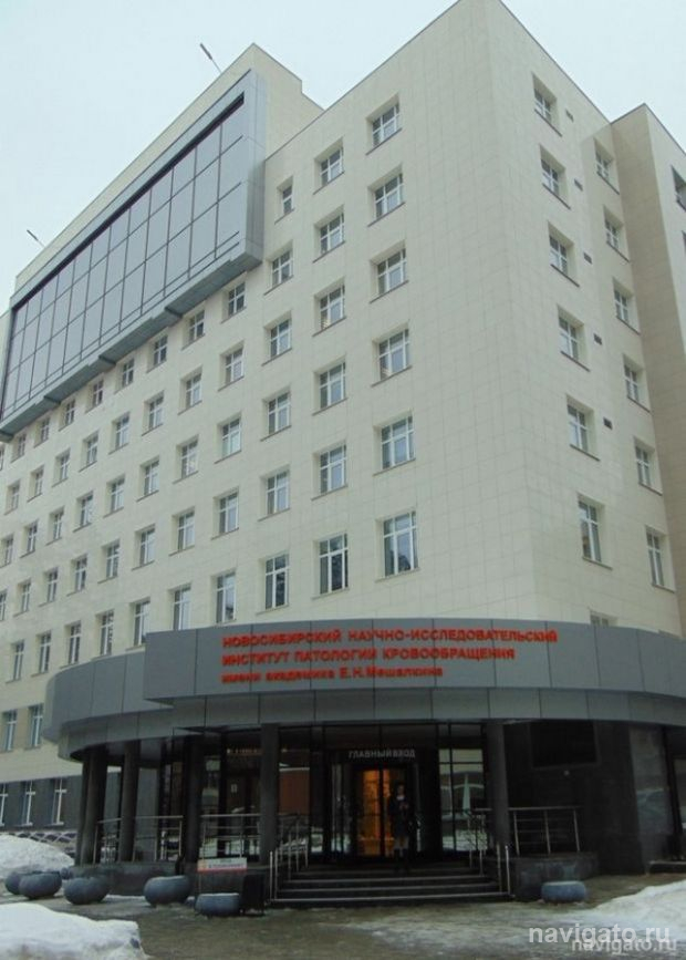 Искусственное сердце на живое