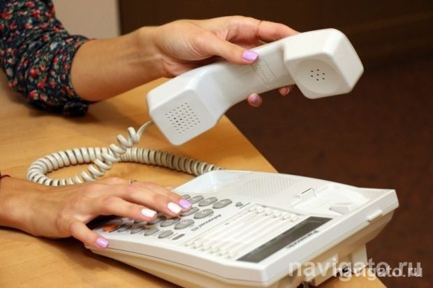 К новому учебному году