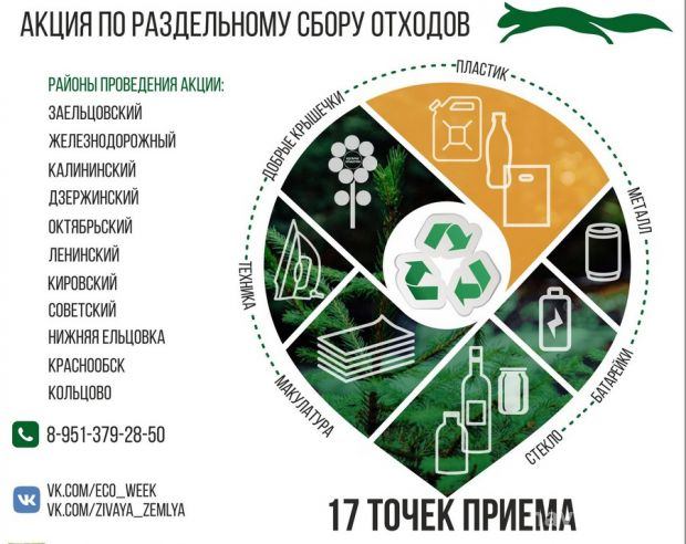 Как сортировать отходы