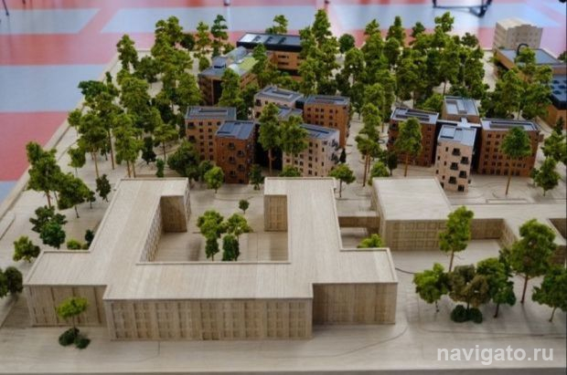 Каким быть кампусу НГУ?