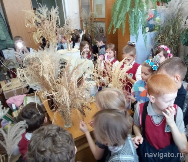 Кактусы, космос, грибы и не только…