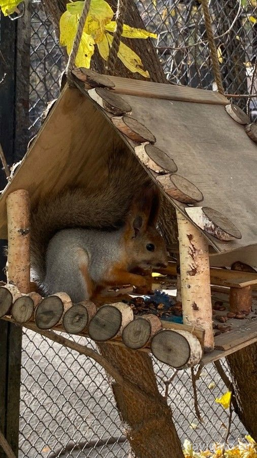 Кешбэк жителям региона