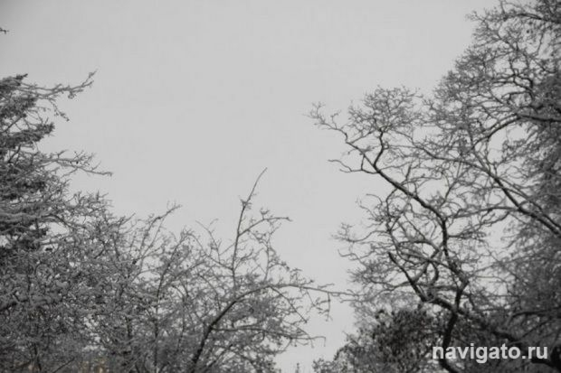 Когда папа на спецоперации