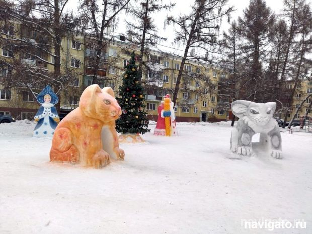Кот и кролик во дворе