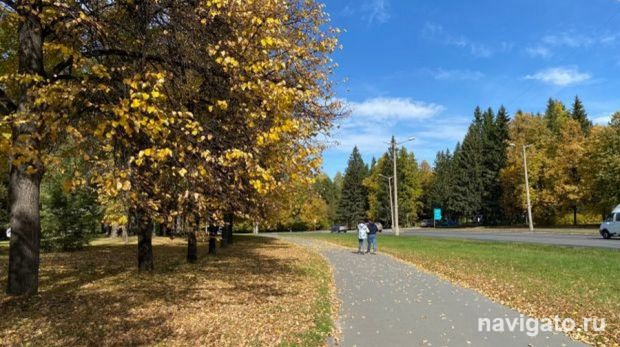 Кто отремонтирует тротуары