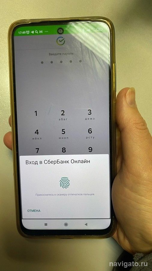 Куда пустят по лицу и голосу