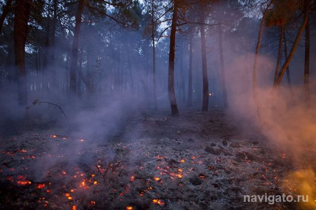 Лето без пожаров