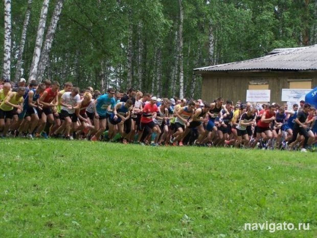 Любителям бега