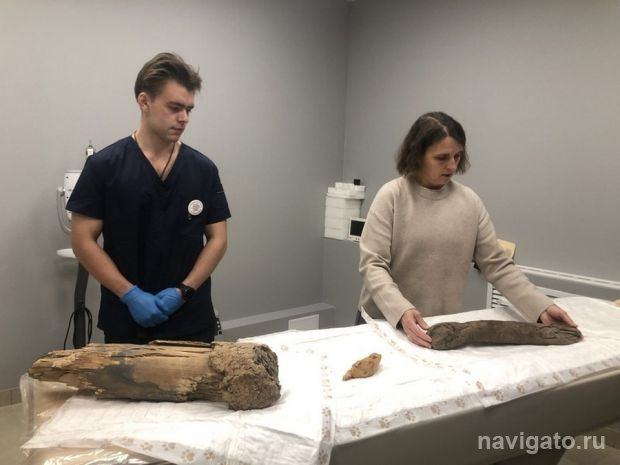 Мамонты на томографе