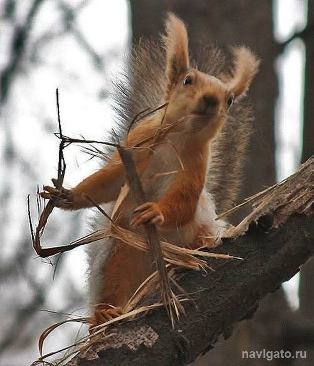 Математический марафон