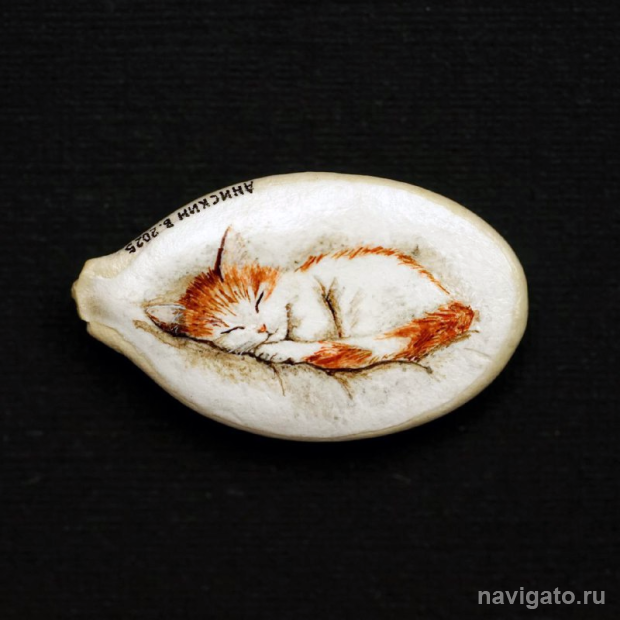 На тыквенных семечках