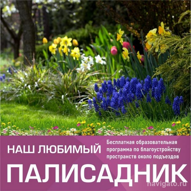 «Наш любимый палисадник»