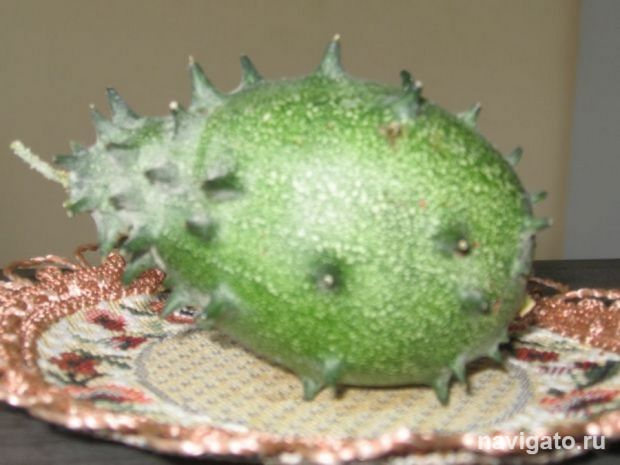 Нетрадиционные сорта