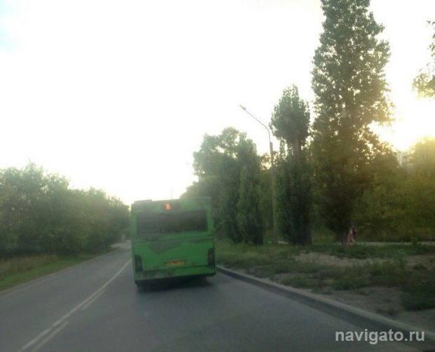 Новые автобусы