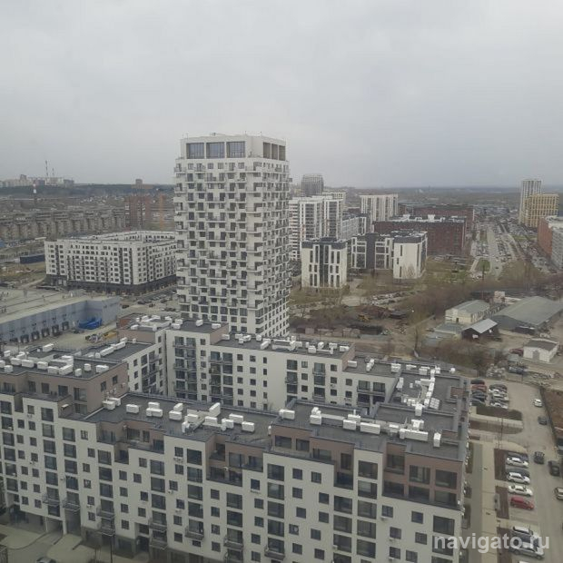 Опрос о Дне города