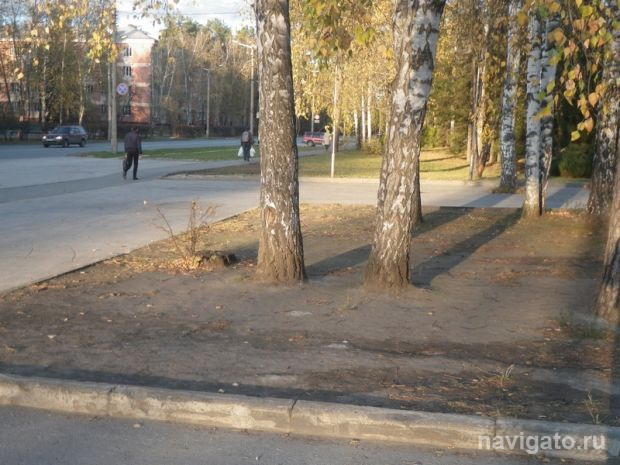 Оставьте листья в покое!