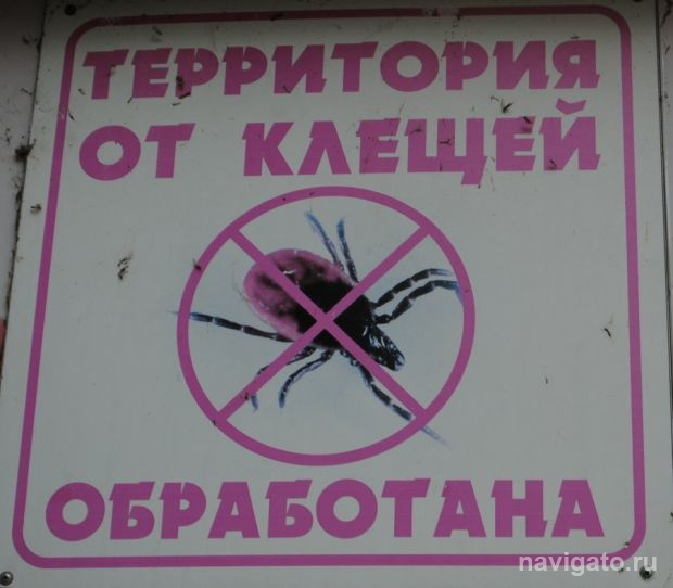 Осторожнее, клещи!