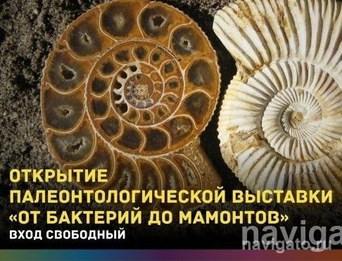«От бактерий до мамонтов»