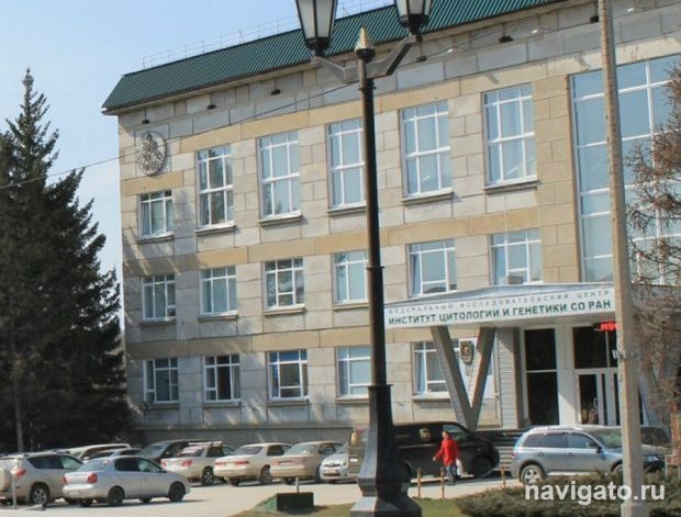 От болезни Бехтерева