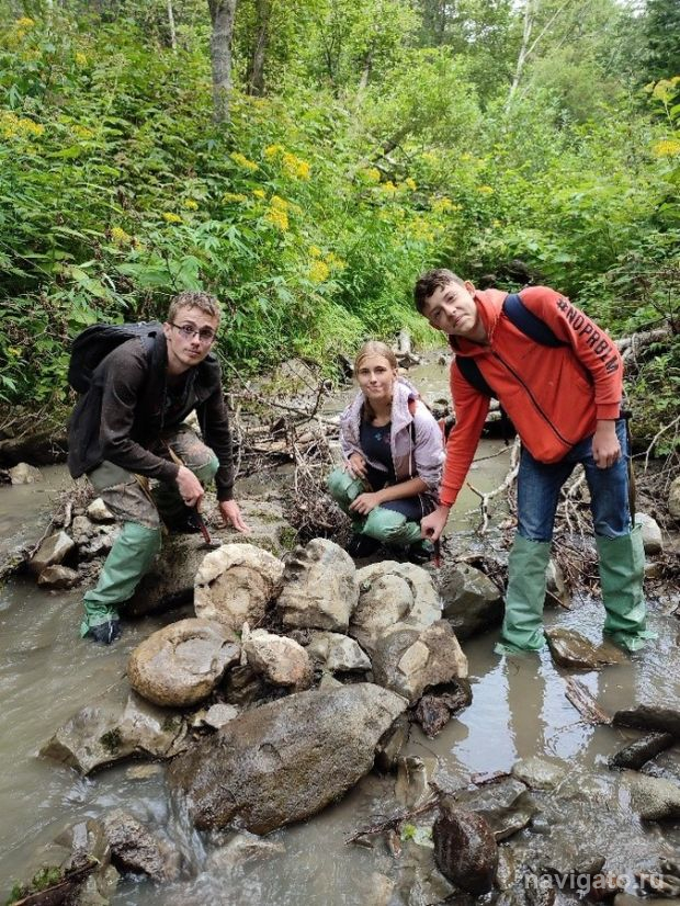 От увлечения к профессии