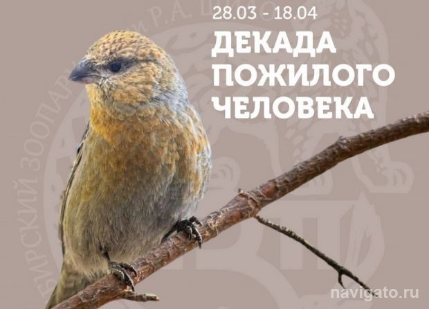 Пенсионерам вход бесплатный