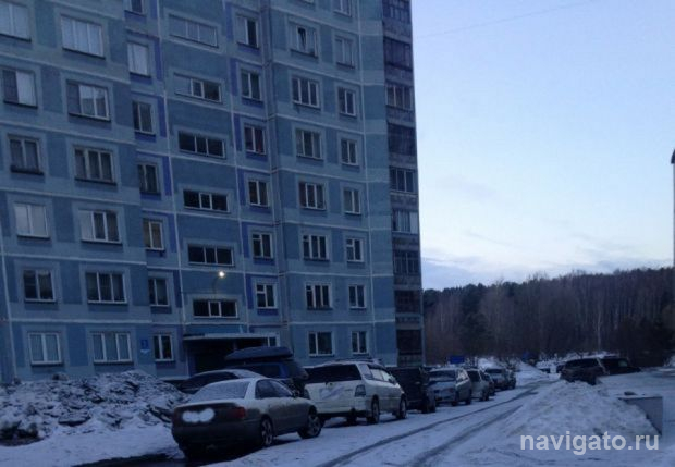 Поджоги в Нижней Ельцовке