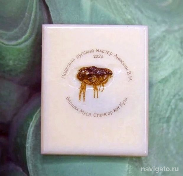 Подковал блоху