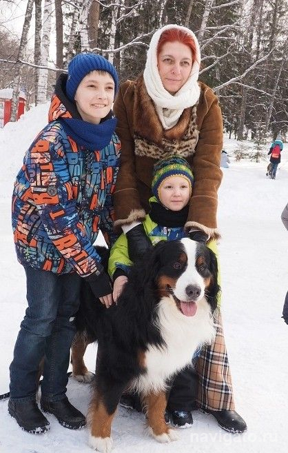 Пока не нашёлся хозяин...