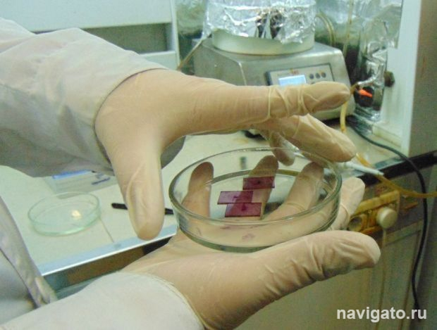 Показ научного кино