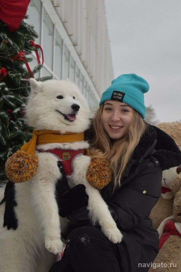 Помогли собакам из приюта