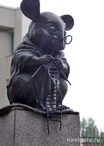 Популярная мышь