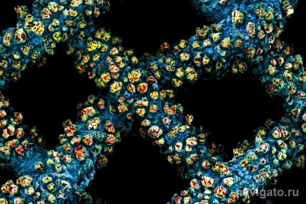 Прекрасная коррозия