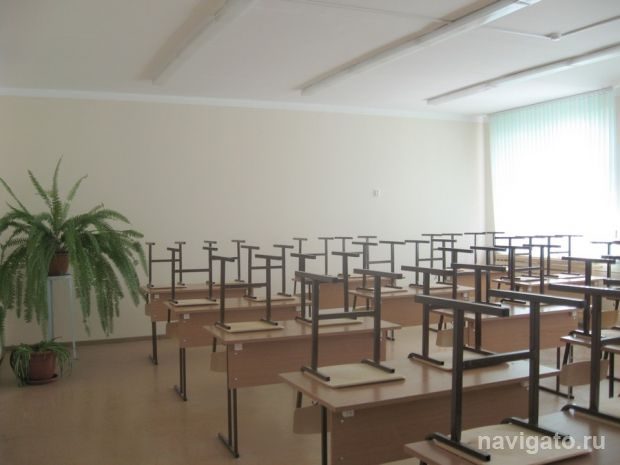 Преступная глупость