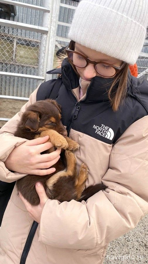 Приют для бродяжек