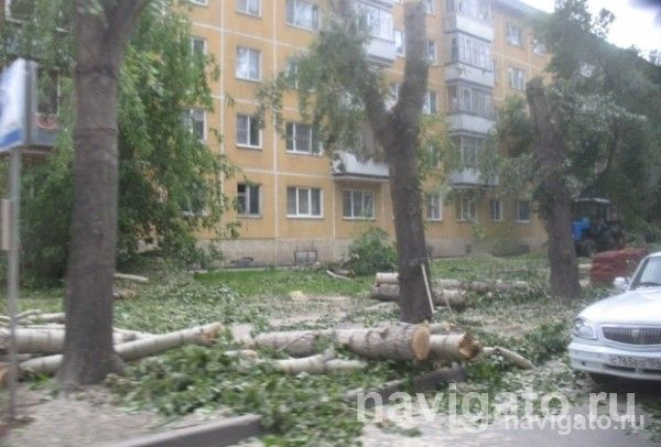Про обрезку и снос деревьев