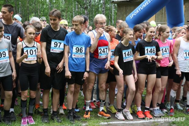 Пробег в цифрах