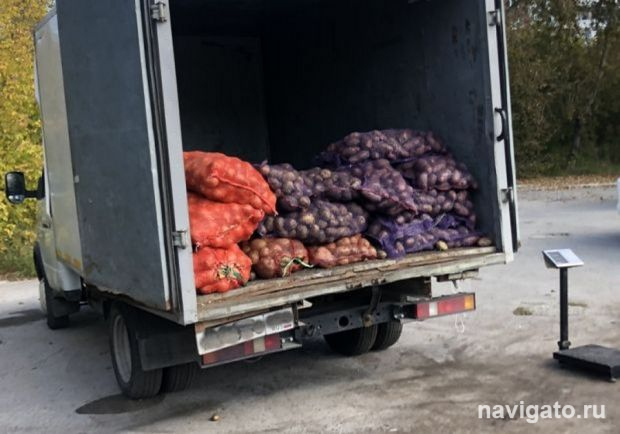 Продажа картофеля