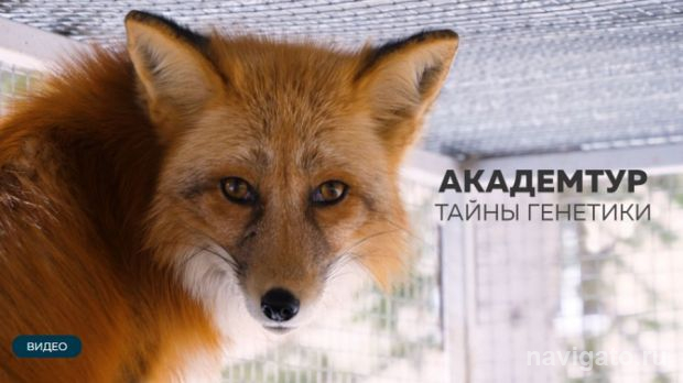 Продвигают научный туризм