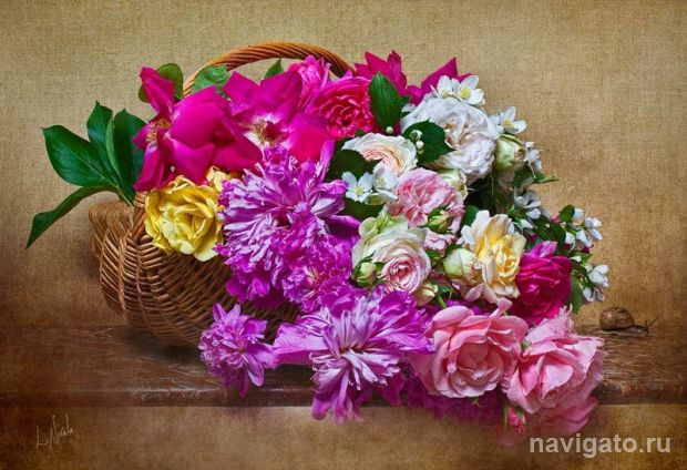 С теплотой и благодарностью