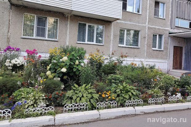 Самая красивая клумба