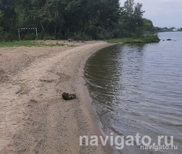 Санитария под вопросом