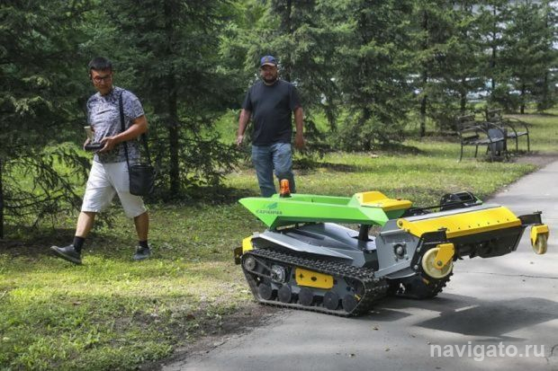 «Саранча» для кошения травы