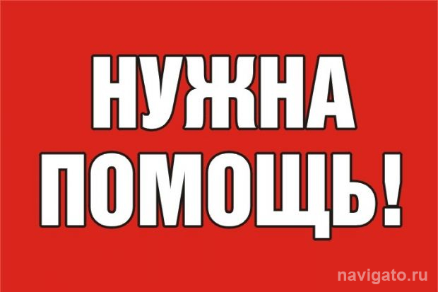 Семье нужна помощь