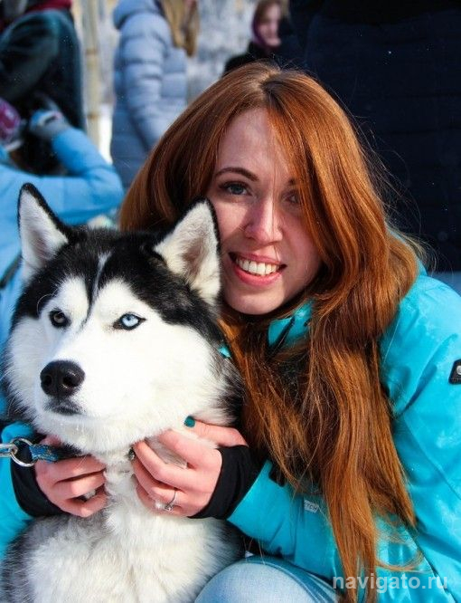 Собакам из приюта