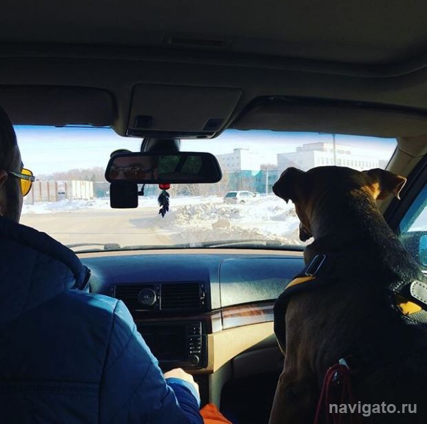 Собаководы, уважайте соседей!