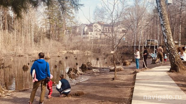 Сохраним пруд с утками?