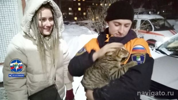 Спасли кошку