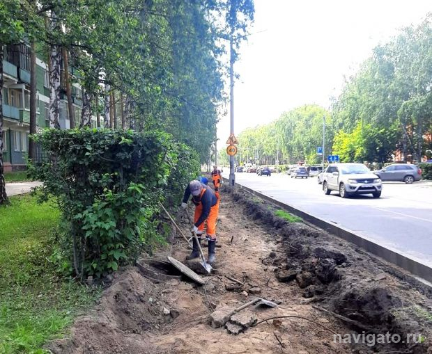 Споры о велодорожках