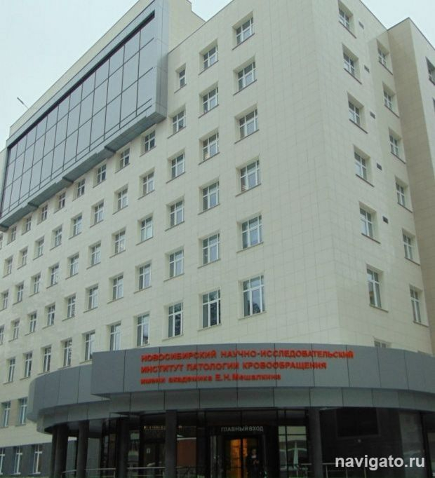 Сшили разрыв в сердце